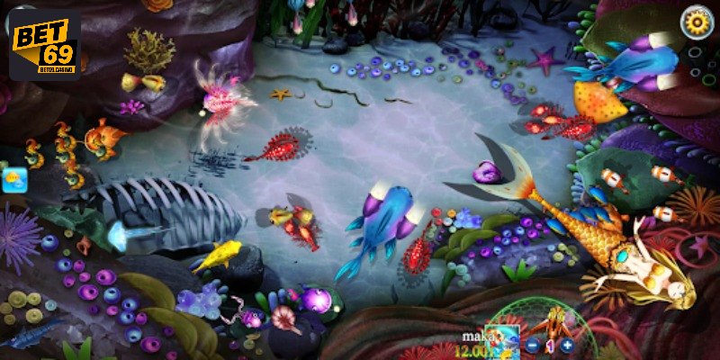 Các phiên bản được ưa chuộng